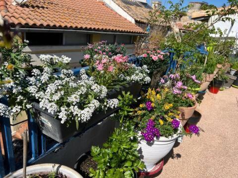 Loft Apartment , La Terrasse Centre Ville D'Arles, Екстериор снимка
